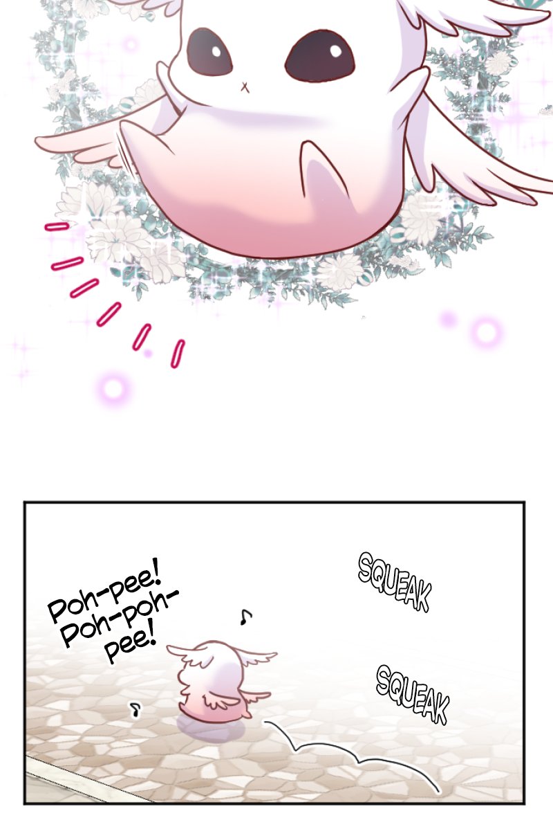 51225932 800 1211 108601