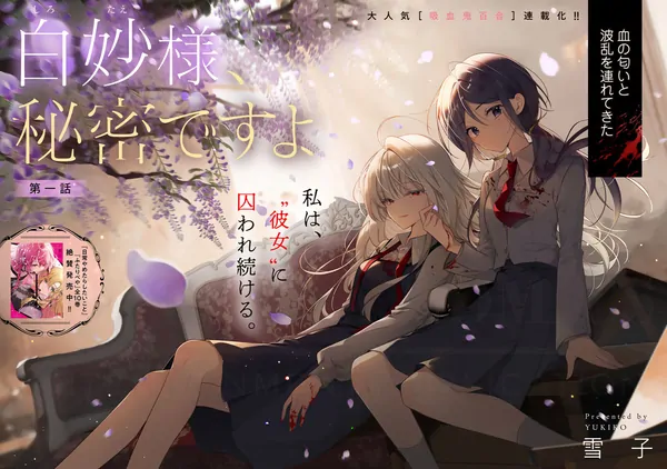 Shirotae-sama, Himitsu Desuyo